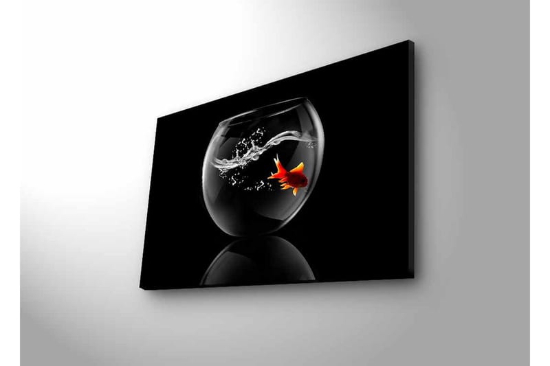Canvastavla med LED-belysning - Guld fisk simmande i en glasbehållare med vattenstänk - Svart / Röd / Transparent - Inredning - Tavlor & posters - Canvastavla