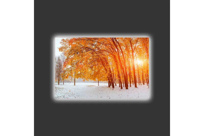Canvastavla med LED-belysning - Gyllene höstskog med solstrålar som strålar genom träden - Orange / Guld / Vit - Inredning - Tavlor & posters - Canvastavla