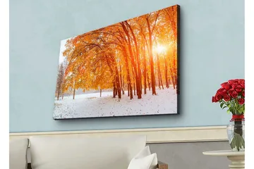 Canvastavla med LED-belysning - Gyllene höstskog med solstrålar som strålar genom träden - Orange / Guld / Vit - Inredning - Tavlor & posters - Canvastavla