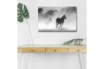 Canvastavla med LED-belysning - Hästar som galopperar genom dimma - Svart / Vitt / Grått - Inredning - Tavlor & posters - Canvastavla
