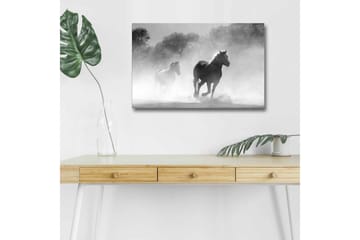 Canvastavla med LED-belysning - Hästar som galopperar genom dimma - Svart / Vitt / Grått - Inredning - Tavlor & posters - Canvastavla
