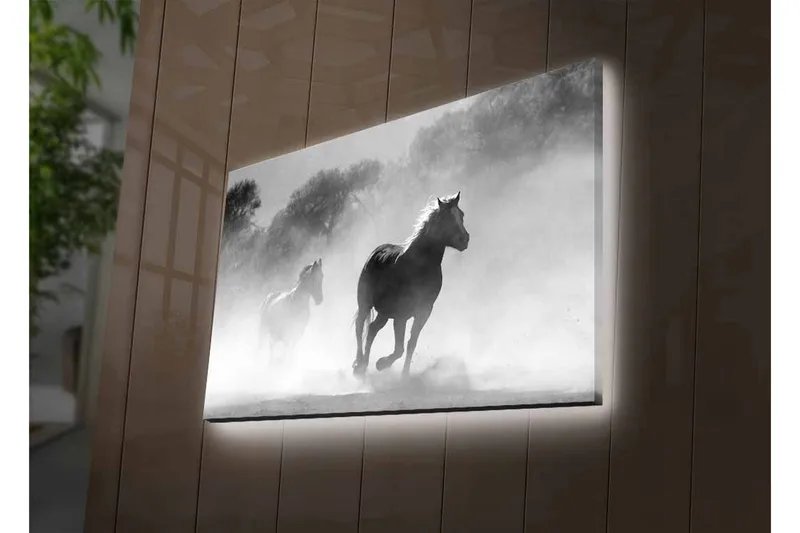 Canvastavla med LED-belysning - Hästar som galopperar genom dimma - Svart / Vitt / Grått - Inredning - Tavlor & posters - Canvastavla