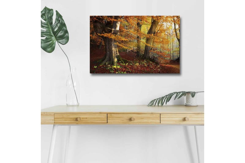 Canvastavla med LED-belysning - Höstlandskap med färgglada träd och löv - Orange / Brun / Grön - Inredning - Tavlor & posters - Canvastavla