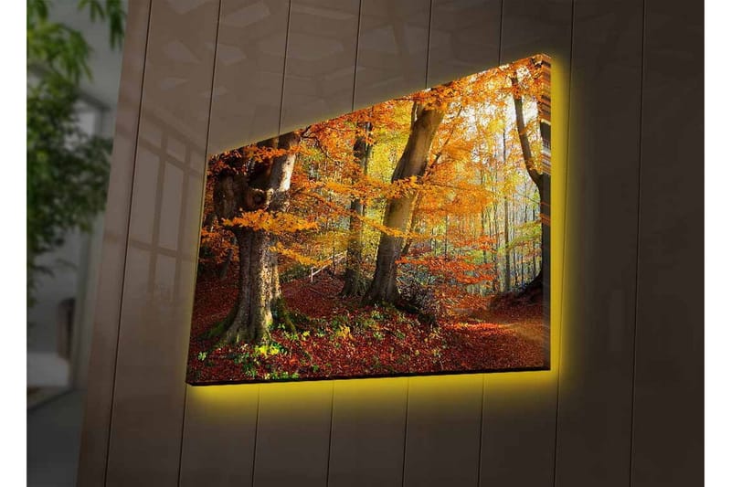 Canvastavla med LED-belysning - Höstlandskap med färgglada träd och löv - Orange / Brun / Grön - Inredning - Tavlor & posters - Canvastavla
