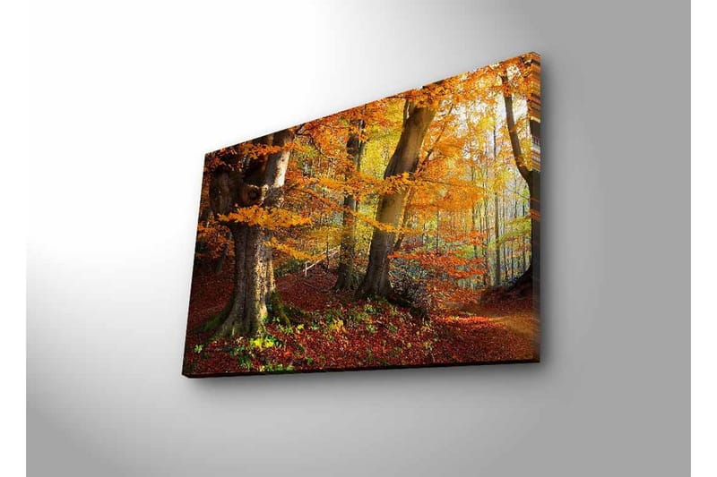 Canvastavla med LED-belysning - Höstlandskap med färgglada träd och löv - Orange / Brun / Grön - Inredning - Tavlor & posters - Canvastavla