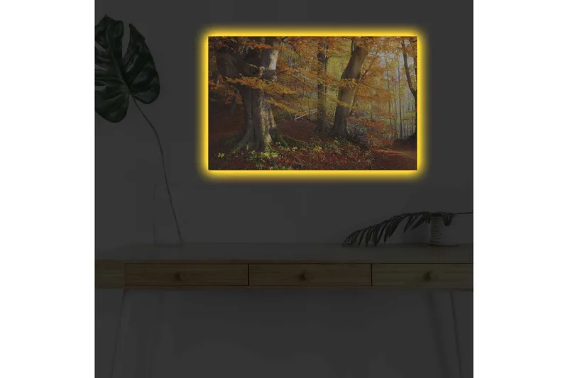 Canvastavla med LED-belysning - Höstlandskap med färgglada träd och löv, Orange / Brun / Grön