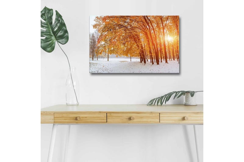 Canvastavla med LED-belysning - Höstlandskap med gyllene träd i snöig miljö - Guld / Vit / Brun - Inredning - Tavlor & posters - Canvastavla