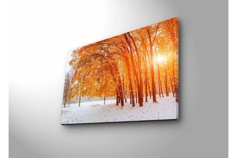 Canvastavla med LED-belysning - Höstlandskap med gyllene träd i snöig miljö - Guld / Vit / Brun - Inredning - Tavlor & posters - Canvastavla
