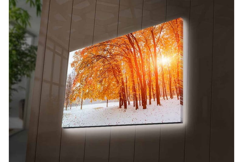 Canvastavla med LED-belysning - Höstlandskap med gyllene träd i snöig miljö - Guld / Vit / Brun - Inredning - Tavlor & posters - Canvastavla