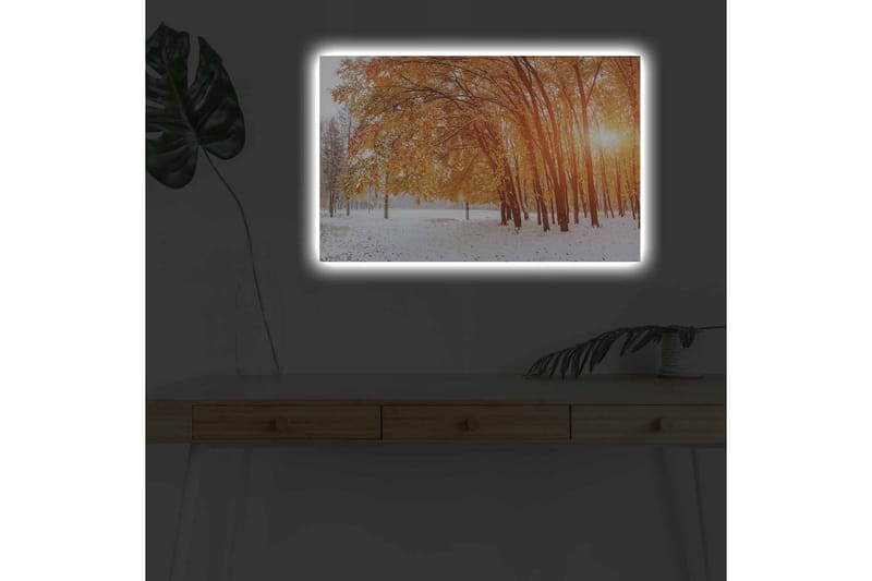Canvastavla med LED-belysning - Höstlandskap med gyllene träd i snöig miljö, Guld / Vit / Brun