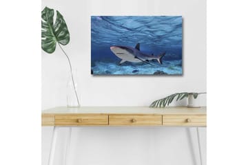 Canvastavla med LED-belysning - Haj simmande i klart blått vatten - Blå / Grå / Vit - Inredning - Tavlor & posters - Canvastavla