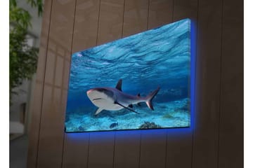 Canvastavla med LED-belysning - Haj simmande i klart blått vatten - Blå / Grå / Vit - Inredning - Tavlor & posters - Canvastavla