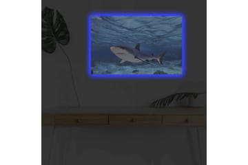 Canvastavla med LED-belysning - Haj simmande i klart blått vatten - Blå / Grå / Vit - Inredning - Tavlor & posters - Canvastavla