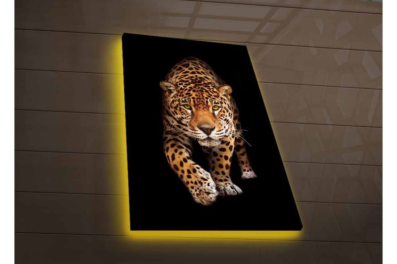 Canvastavla med LED-belysning - Jagande jaguar i fokus - Guld / Svart / Vit - Inredning - Tavlor & posters - Canvastavla