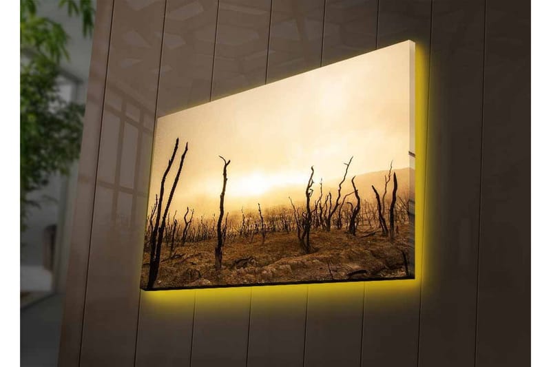 Canvastavla med LED-belysning - Karg landskap med döda trädstammar - Mörkbrun / Beige / Grå - Inredning - Tavlor & posters - Canvastavla