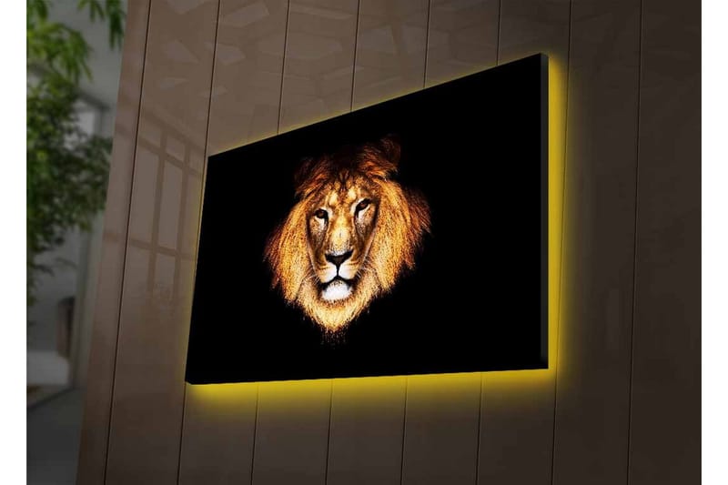 Canvastavla med LED-belysning - Lejonhuvud med intensiv blick - Guld / Svart / Brun - Inredning - Tavlor & posters - Canvastavla