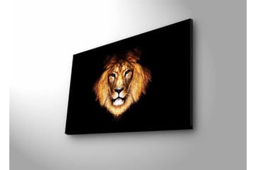 Canvastavla med LED-belysning - Lejonhuvud med intensiv blick - Guld / Svart / Brun - Inredning - Tavlor & posters - Canvastavla