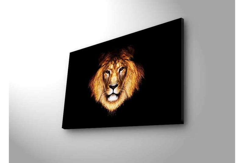 Canvastavla med LED-belysning - Lejonhuvud med intensiv blick - Guld / Svart / Brun - Inredning - Tavlor & posters - Canvastavla