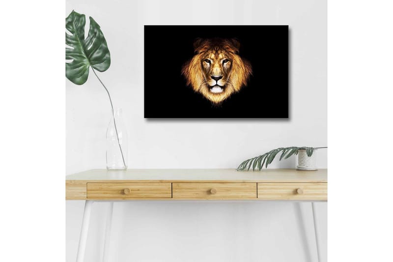Canvastavla med LED-belysning - Lejonhuvud med intensiv blick, Guld / Svart / Brun