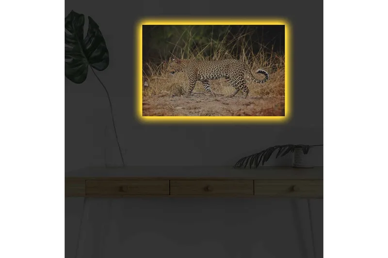 Canvastavla med LED-belysning - Leopard som smyger genom det torra gräset - Guldbrun / Svart / Vit - Inredning - Tavlor & posters - Canvastavla