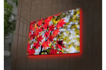 Canvastavla med LED-belysning - Ljust röda lönnlöv som hänger från en gren - Röd / Grön - Inredning - Tavlor & posters - Canvastavla