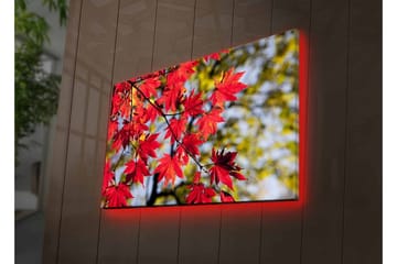 Canvastavla med LED-belysning - Ljust röda lönnlöv som hänger från en gren - Röd / Grön - Inredning - Tavlor & posters - Canvastavla