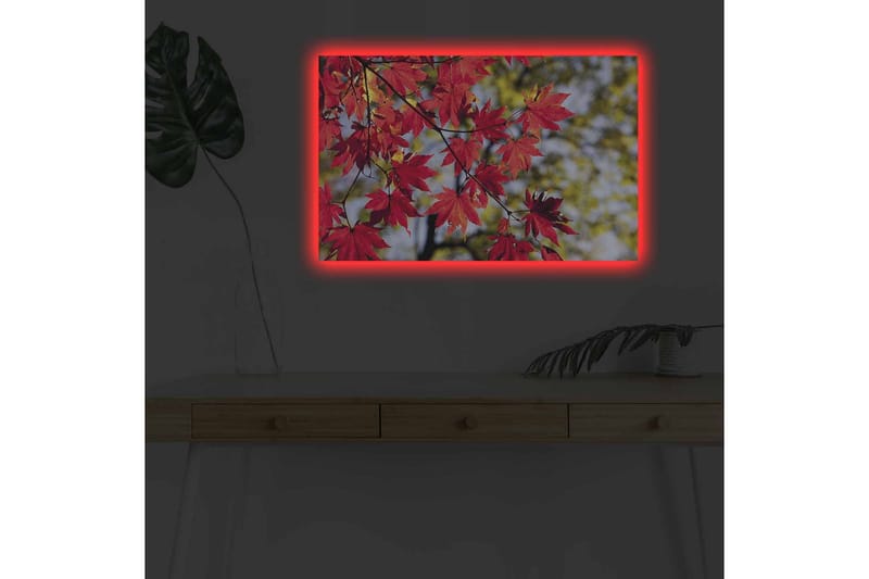 Canvastavla med LED-belysning - Ljust röda lönnlöv som hänger från en gren - Röd / Grön - Inredning - Tavlor & posters - Canvastavla