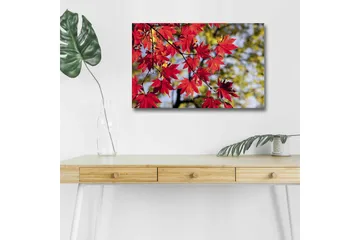 Canvastavla med LED-belysning - Ljust röda lönnlöv som hänger från en gren - Röd / Grön - Inredning - Tavlor & posters - Canvastavla