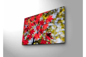 Canvastavla med LED-belysning - Ljust röda lönnlöv som hänger från en gren - Röd / Grön - Inredning - Tavlor & posters - Canvastavla