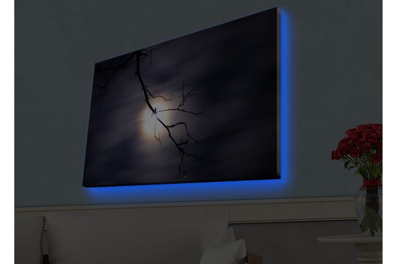 Canvastavla med LED-belysning - Måne som lyser genom mörka moln med en gren i förgrunden - Mörkblå / Svart / Vit - Inredning - Tavlor & posters - Canvastavla