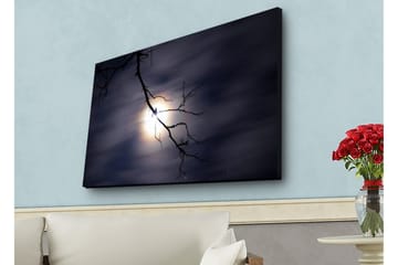 Canvastavla med LED-belysning - Måne som lyser genom mörka moln med en gren i förgrunden - Mörkblå / Svart / Vit - Inredning - Tavlor & posters - Canvastavla