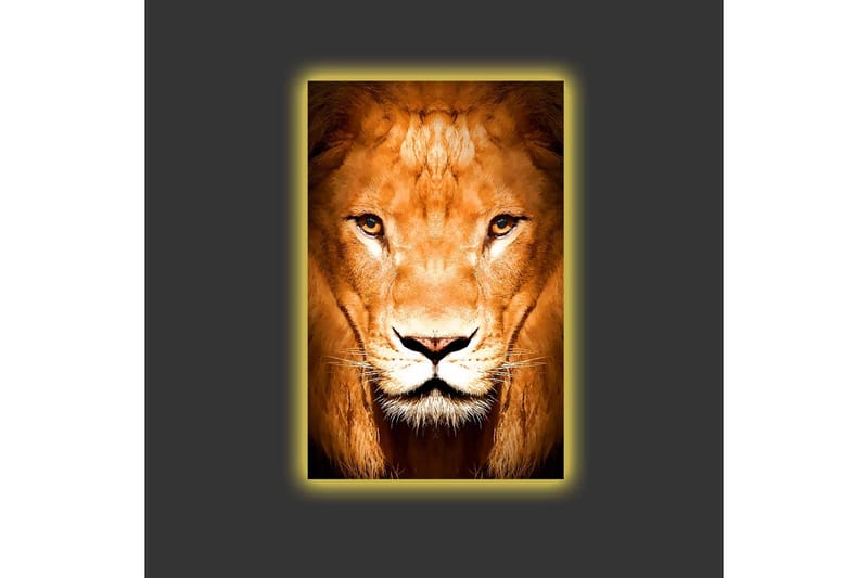 Canvastavla med LED-belysning - Majestätisk lejonhuvud i närbild - Guld / Brun / Svart - Inredning - Tavlor & posters - Canvastavla