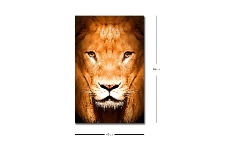 Canvastavla med LED-belysning - Majestätisk lejonhuvud i närbild - Guld / Brun / Svart - Inredning - Tavlor & posters - Canvastavla