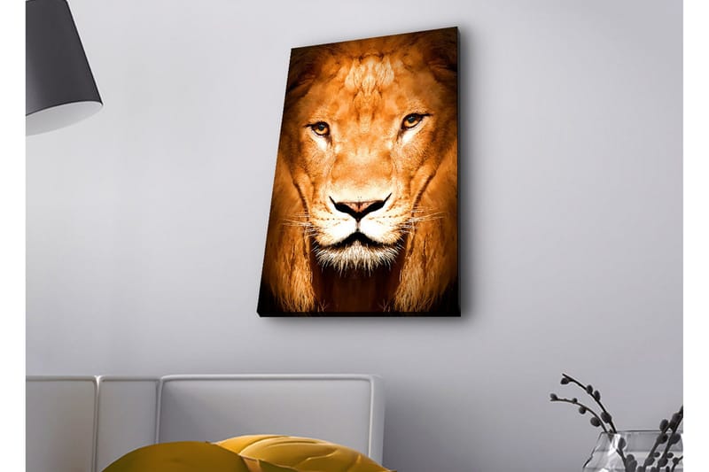 Canvastavla med LED-belysning - Majestätisk lejonhuvud i närbild - Guld / Brun / Svart - Inredning - Tavlor & posters - Canvastavla