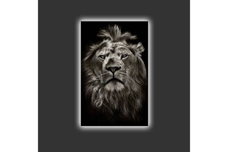 Canvastavla med LED-belysning - Majestätisk lejonhuvud i svartvitt - Svart / Grå - Inredning - Tavlor & posters - Canvastavla