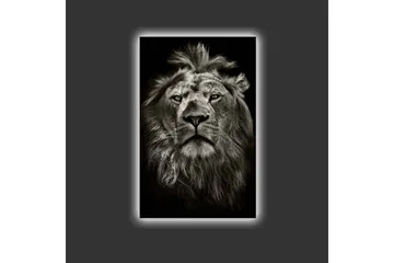 Canvastavla med LED-belysning - Majestätisk lejonhuvud i svartvitt - Svart / Grå - Inredning - Tavlor & posters - Canvastavla
