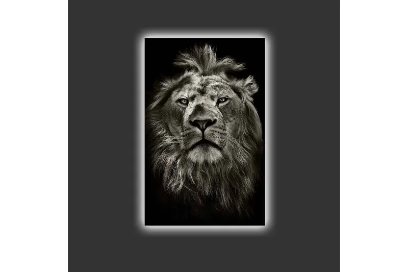 Canvastavla med LED-belysning - Majestätisk lejonhuvud i svartvitt - Svart / Grå - Inredning - Tavlor & posters - Canvastavla