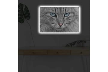 Canvastavla med LED-belysning - Närbild av en grå katt med blå ögon - Grå / Blå / Rosa - Inredning - Tavlor & posters - Canvastavla