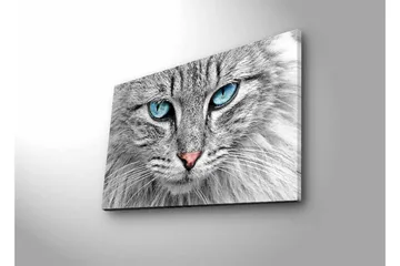 Canvastavla med LED-belysning - Närbild av en grå katt med blå ögon - Grå / Blå / Rosa - Inredning - Tavlor & posters - Canvastavla