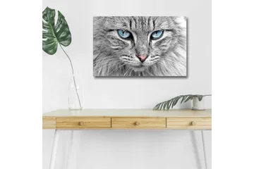 Canvastavla med LED-belysning - Närbild av en grå katt med blå ögon - Grå / Blå / Rosa - Inredning - Tavlor & posters - Canvastavla