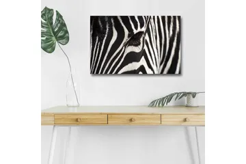 Canvastavla med LED-belysning - Närbild av en zebras ansikte med tydliga svarta och vita ränder - Svart / Vit - Inredning - Tavlor & posters - Canvastavla