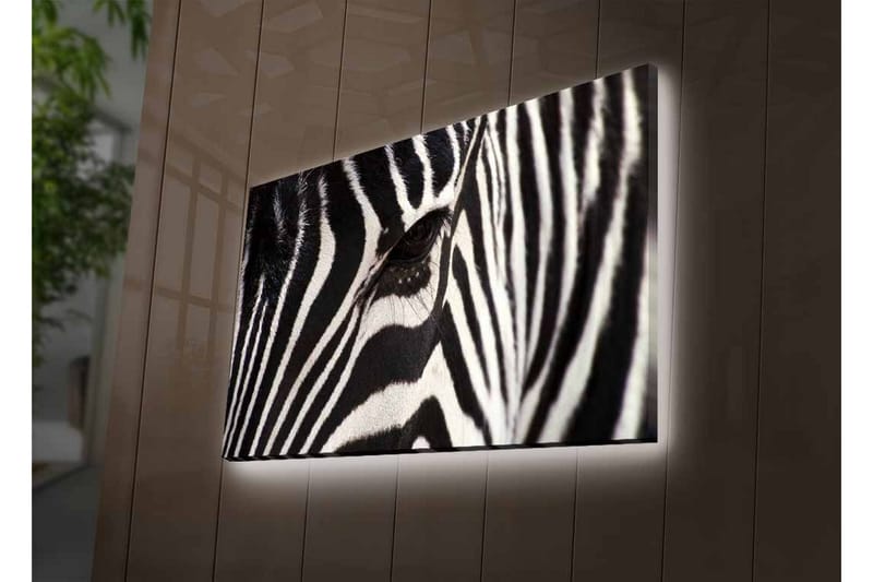 Canvastavla med LED-belysning - Närbild av en zebras ansikte med tydliga svarta och vita ränder - Svart / Vit - Inredning - Tavlor & posters - Canvastavla