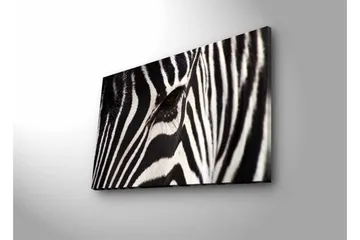Canvastavla med LED-belysning - Närbild av en zebras ansikte med tydliga svarta och vita ränder - Svart / Vit - Inredning - Tavlor & posters - Canvastavla