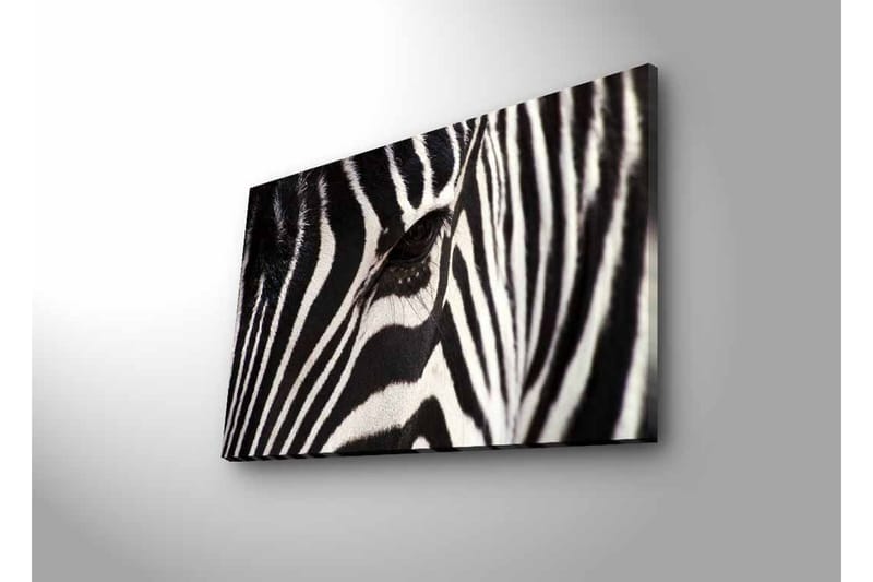 Canvastavla med LED-belysning - Närbild av en zebras ansikte med tydliga svarta och vita ränder - Svart / Vit - Inredning - Tavlor & posters - Canvastavla