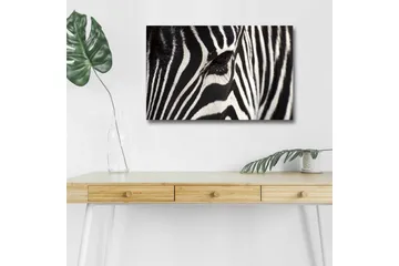Canvastavla med LED-belysning - Närbild av en zebras ansikte med tydliga svarta och vita ränder - Svart / Vit - Inredning - Tavlor & posters - Canvastavla