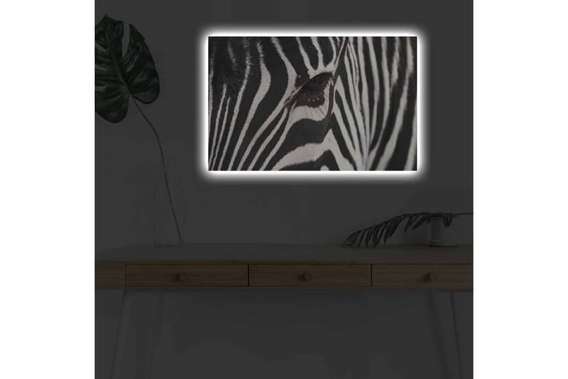 Canvastavla med LED-belysning - Närbild av en zebras ansikte med tydliga svarta och vita ränder - Svart / Vit - Inredning - Tavlor & posters - Canvastavla