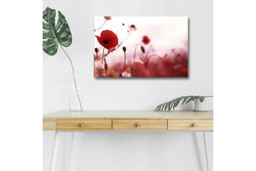 Canvastavla med LED-belysning - Röd vallmo i en mjukt suddig blomsteräng - Röd / Rosa / Grön - Inredning - Tavlor & posters - Canvastavla