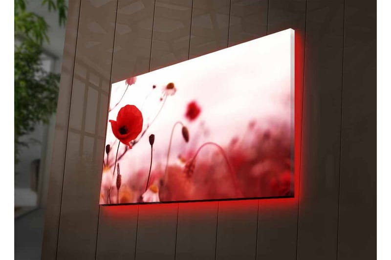 Canvastavla med LED-belysning - Röd vallmo i en mjukt suddig blomsteräng - Röd / Rosa / Grön - Inredning - Tavlor & posters - Canvastavla