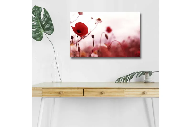 Canvastavla med LED-belysning - Röd vallmo i en mjukt suddig blomsteräng, Röd / Rosa / Grön