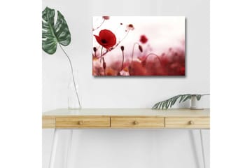 Canvastavla med LED-belysning - Röd vallmo i en mjukt suddig blomsteräng - Röd / Rosa / Grön - Inredning - Tavlor & posters - Canvastavla